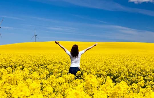 A woman standing in a field of yellow flowers