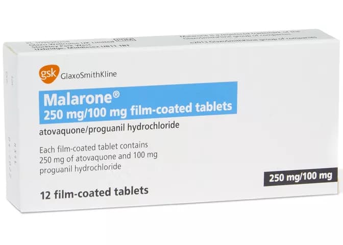 Malarone & Generic Malarone