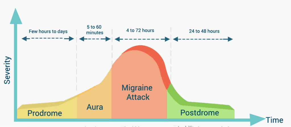 Сколько длится мигрень. Патогенез мигрени схема. Основные стадии мигрени. Фазы мигрени. Фазы приступа мигрени.